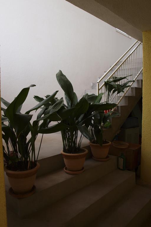 Apartments Viktorija Starigrad Paklenica Buitenkant foto